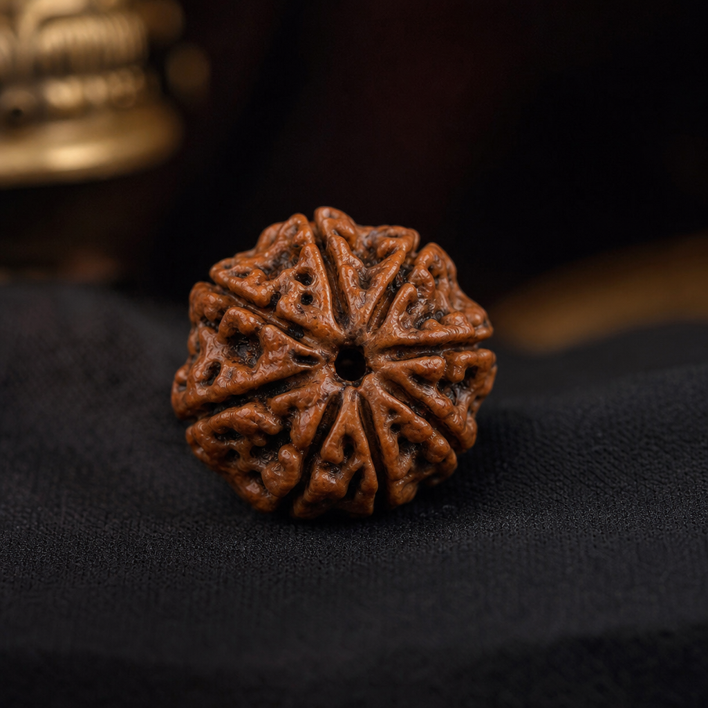 8 Mukhi Rudraksha